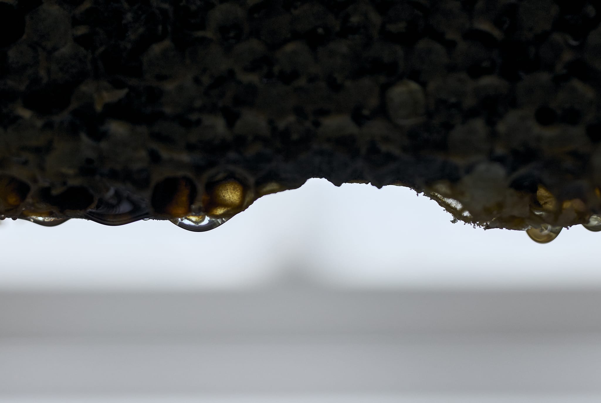 First View Background Image 2