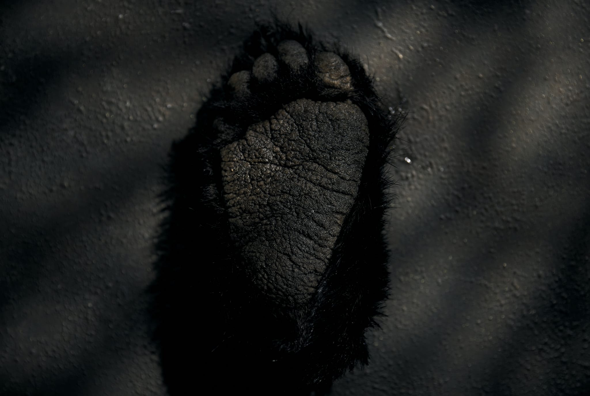 First View Background Image 3