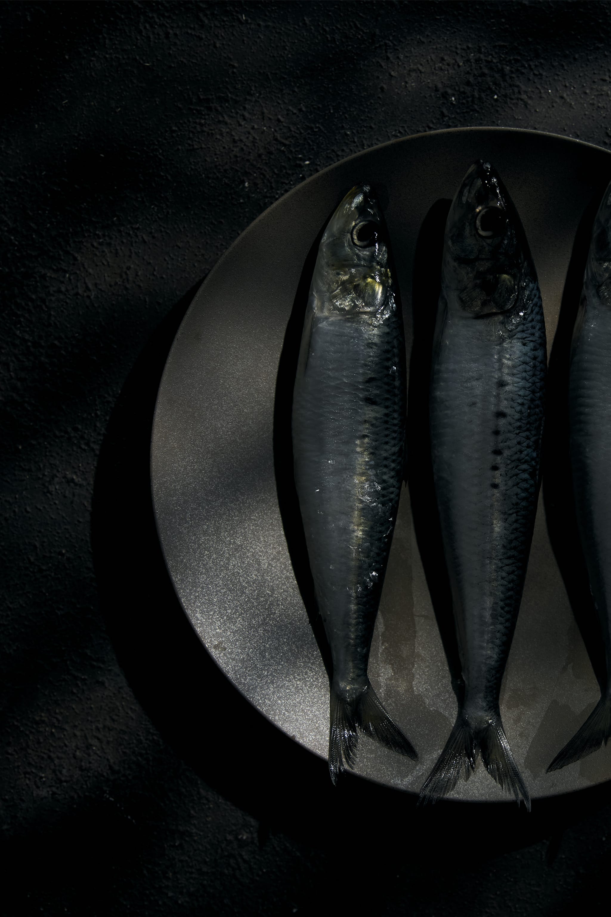 First View Background Image 5