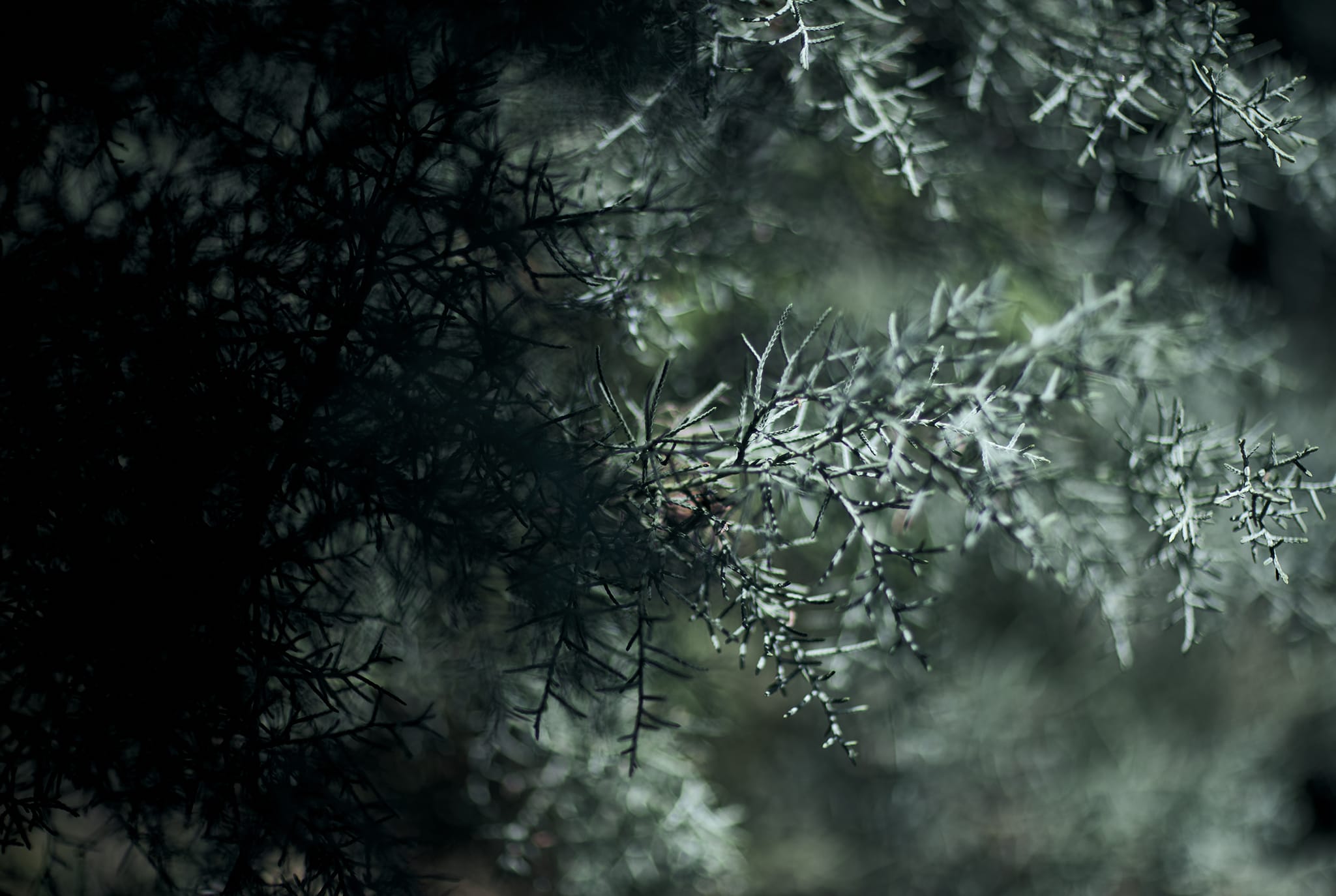 First View Background Image 7