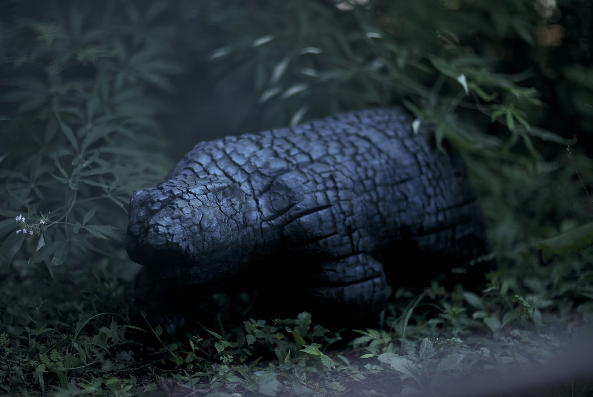 First View Background Image 12