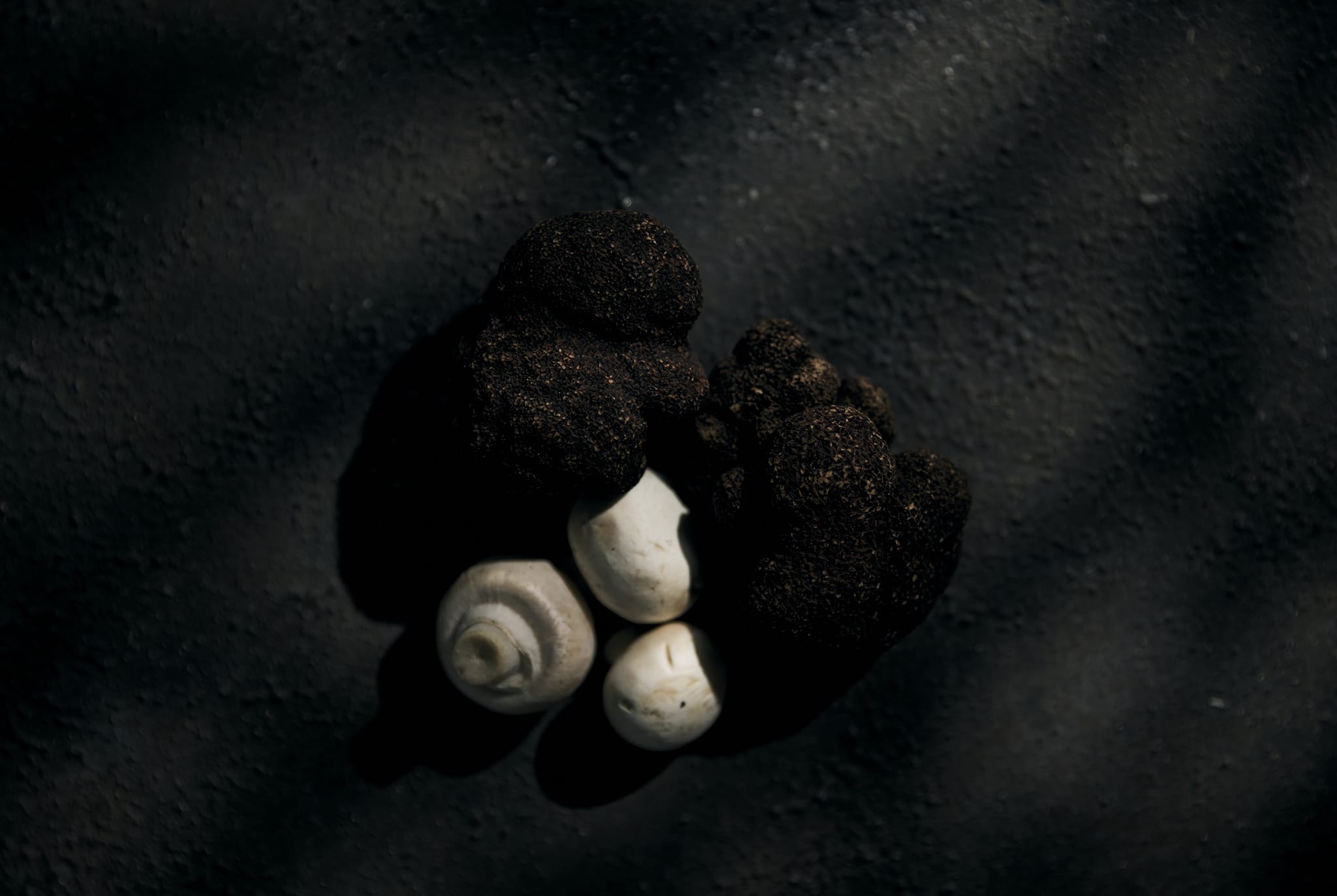 First View Background Image 13