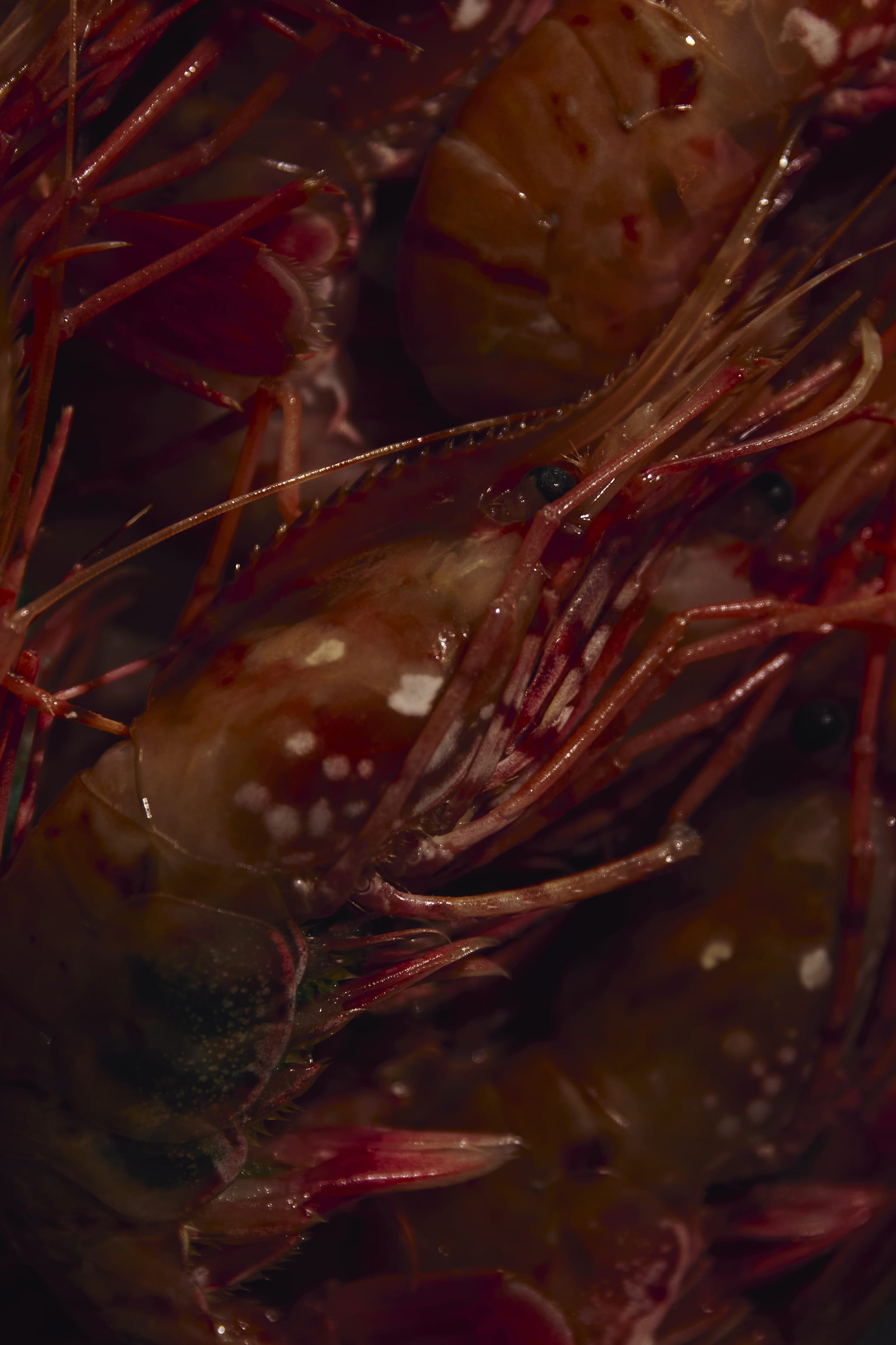 First View Background Image 14