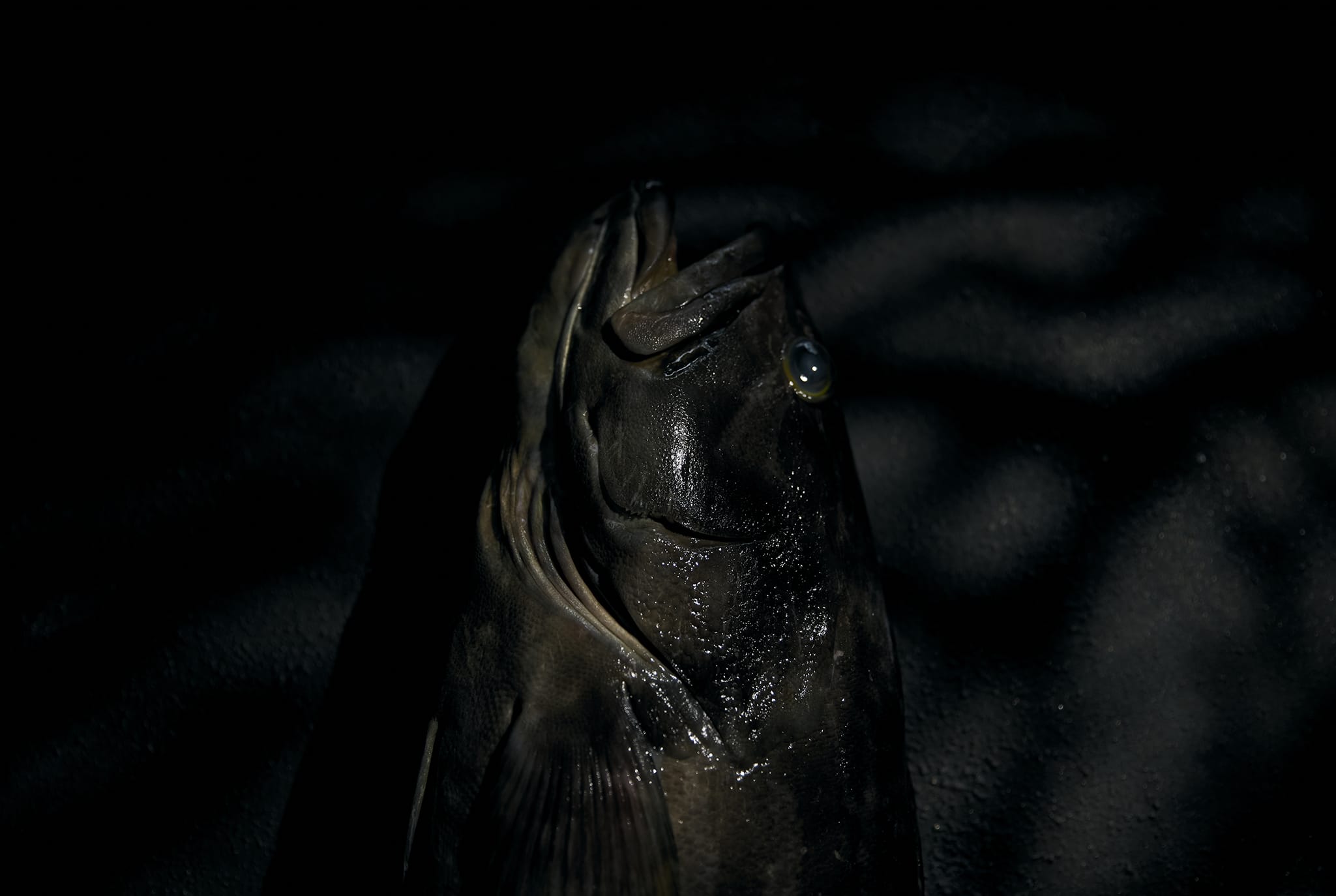 First View Background Image 16