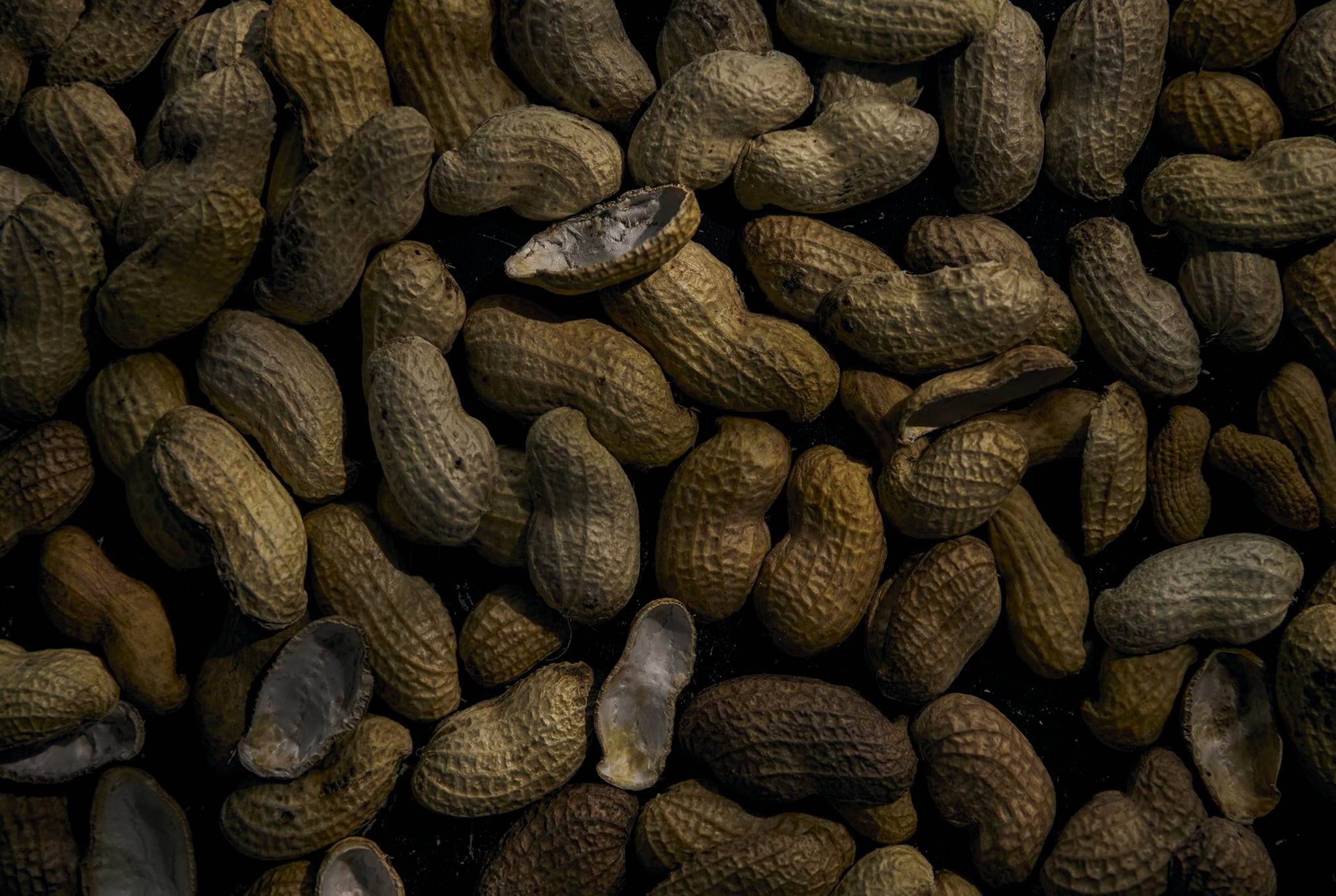 First View Background Image 17